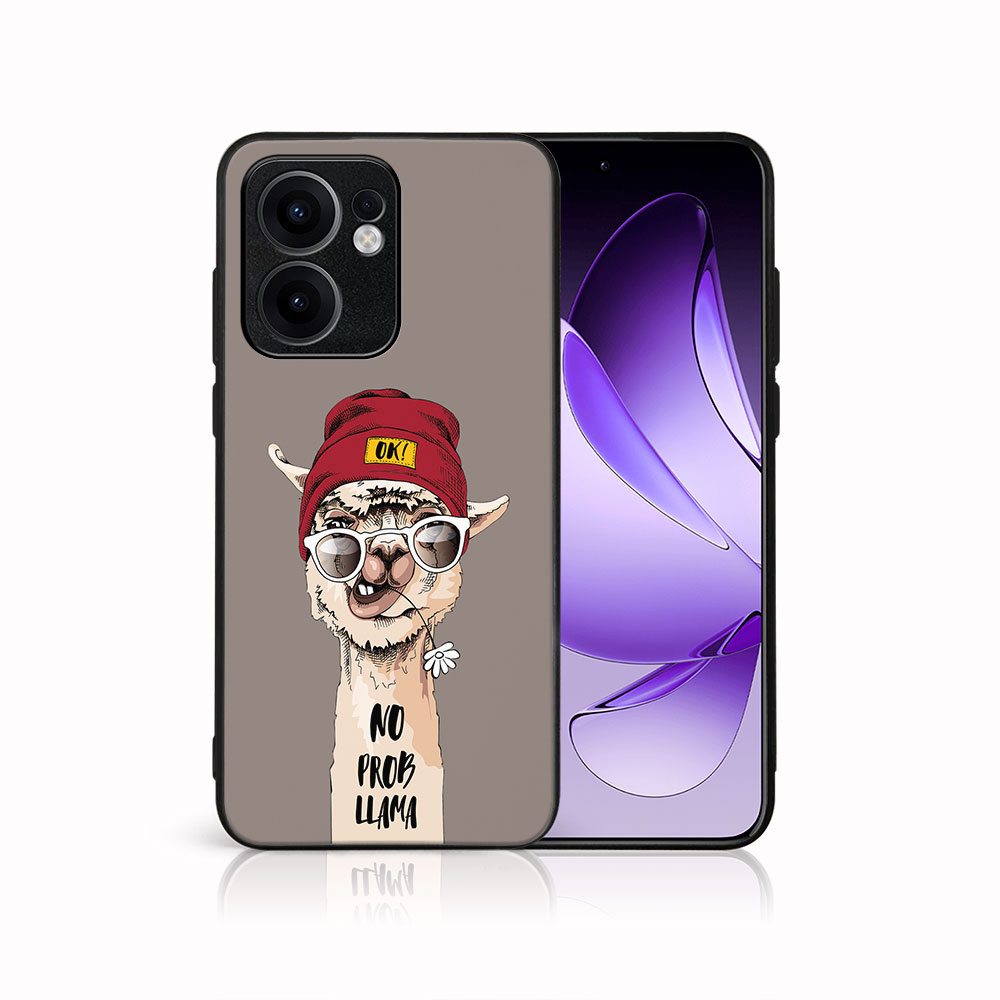 E-shop MY ART Ochranný kryt pre Oppo Reno13 F 5G / Reno13 FS 5G PROBLLAMA (187)